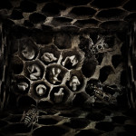 The Hive by Athina Saloniti