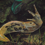 Slug Life by Andrew Ferneyhough