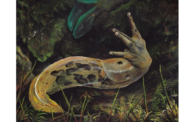 West Side Slug Life by Andrew Ferneyhough