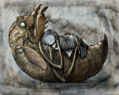 Cicada Lullaby by Linda Saboe