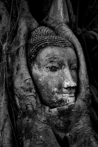 Buddha Head, Ayutthaya Thailand by Kevin Martin
