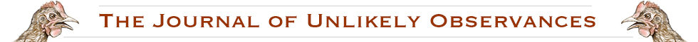 The Journal of Unlikely Observances banner